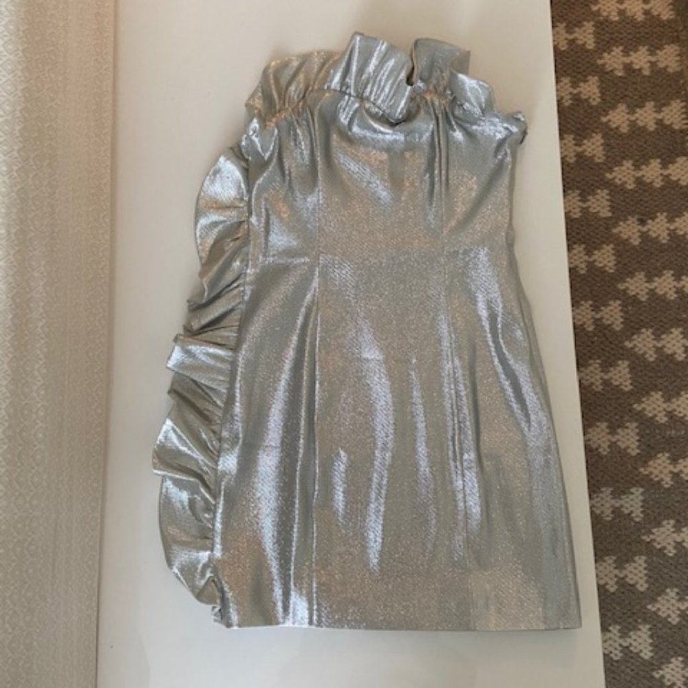 NBD Silver Dress